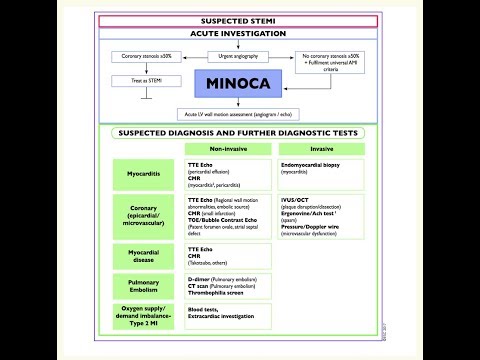 MINOCA, A new terminology for an old pathology (Dr. Sherif Altoukhy, Lecturer of Cardiology))