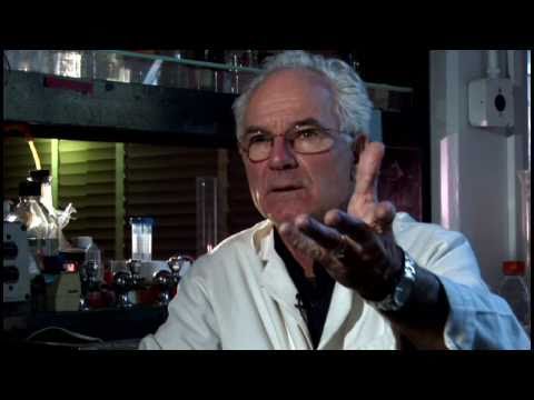 Dr Peter Duesberg,  A Cautionary Tale
