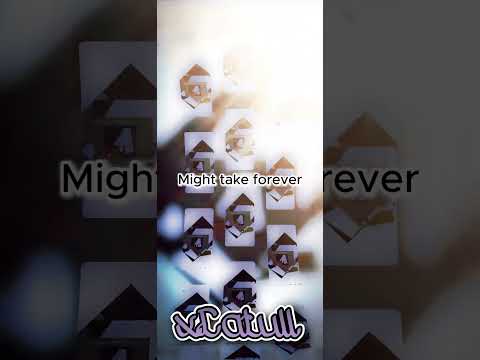 no more lonely nights #music #paulmccartney #nomorelonelynights