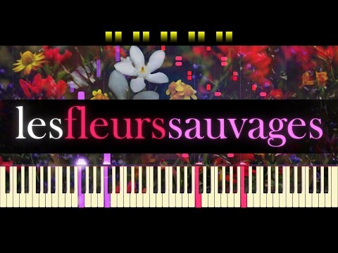 Les Fleurs Sauvages - Richard Clayderman