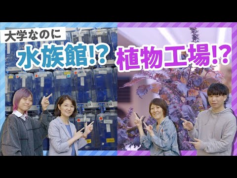 教養学科 津田佐知子准教授・長谷川有貴准教授