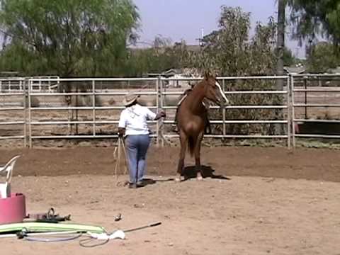 Clue Dun It - Part 1