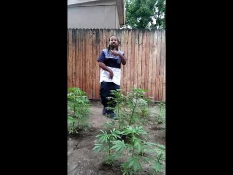 Steppin Up Blu Money 💰