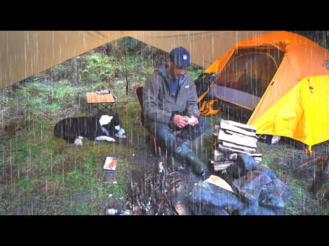 Tent CAMPING in RAIN with FIRE - Dog
