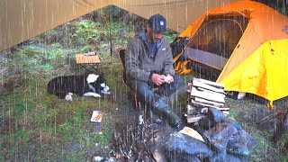 Tent CAMPING in RAIN with FIRE - Dog
