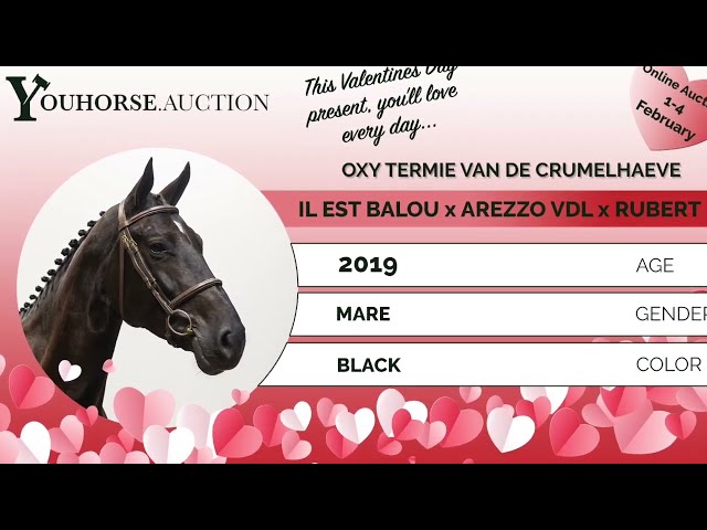 Oxy Termie showvideo