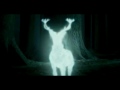 Harry Potter Expecto Patronum