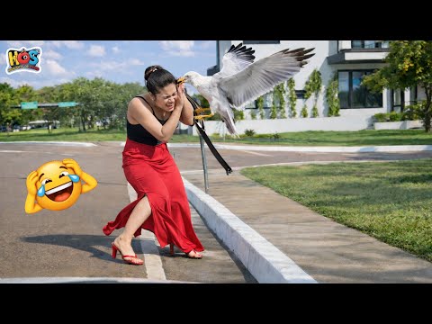 Try Not To Laugh 🤩 Top 100 Funniest Videos Ever 😏 | Funny Videos Compilation 2026 #30
