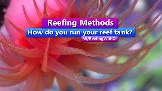 Reefing Methods - How do you Run your Reef Tank?