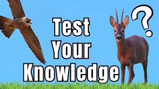 Can you Answer these 8 Wildlife Questions Correctly? --- Wildlife Quiz of the Week!