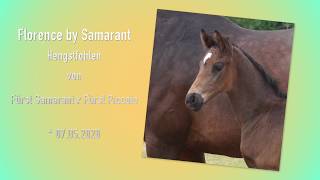 Video koně Florence by Samarant