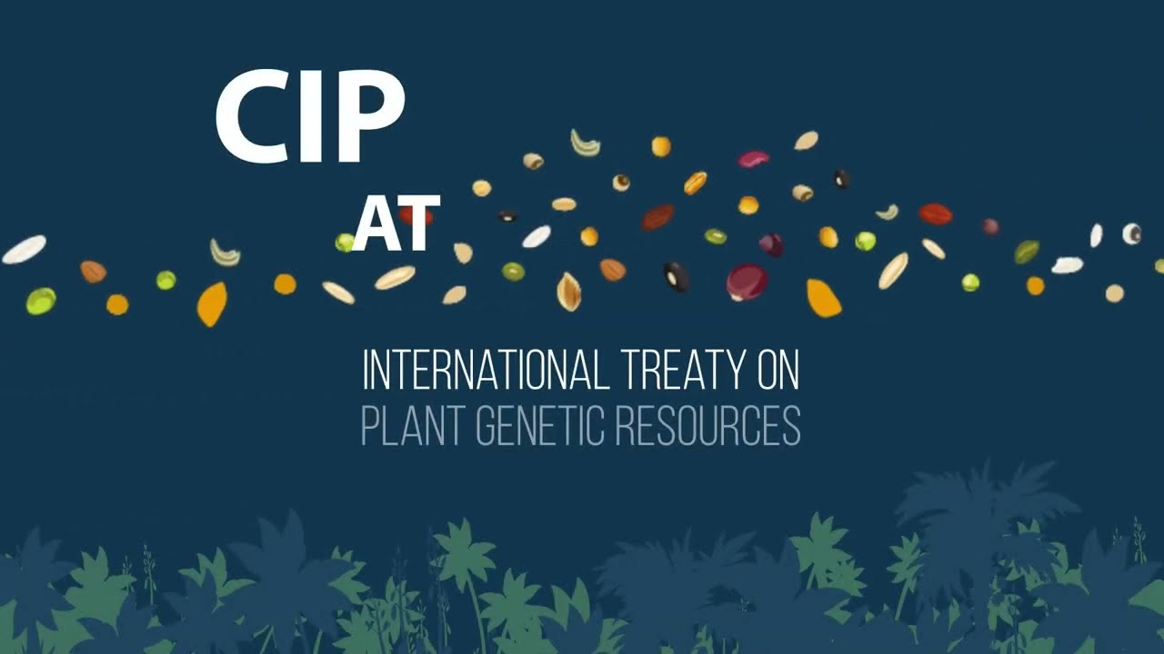 The Seed Pathways: An Infinity Loop for Agrobiodiversity