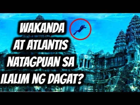 download lagu mp3 mp4 Wvt, download lagu Wvt gratis, unduh video klip Wvt
