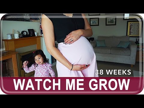 BABY BUMP PROGRESSION! Watch My Belly Grow | The Postmodern Family EP#63 Video