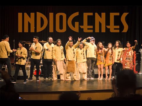 Indiogenes - Promo Video