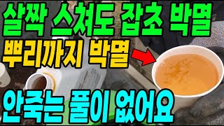 살짝 스쳐도 잡초 박멸! 뿌리까지 박멸! 안죽는 풀이 없어요
