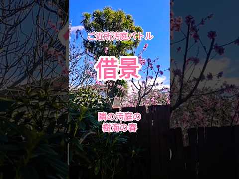 見下ろす庭を隣人と衝突せずに美しく隠すにはどうすればよいですか？  庭園