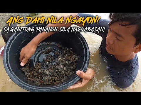 Ep. 193 May Biyaya Kahit Bumabaha!