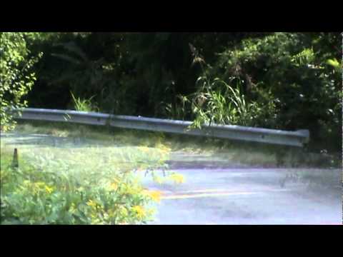 23° RALLY DEL TARTUFO-MIX PS 6-8 TORNANTE 2° PARTE