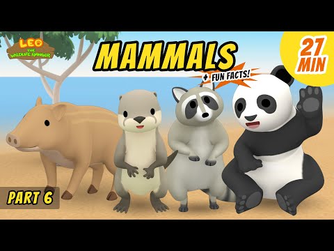 Witness21 Editor  2021 01 16