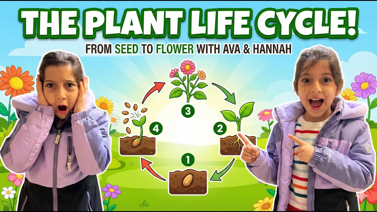 🐝 Pollination & Seed Dispersal for Kids! How Plants Make Seeds and Travel | Ava & Hannah