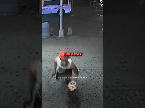 15 Year Old Boy Gets HUNTED By Gang🔪