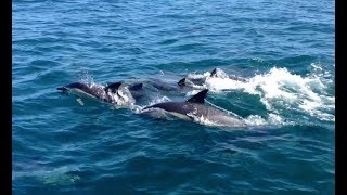 Wild West Cork Episode 2