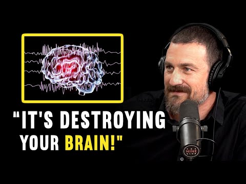 Neuroscientist Reveals Why Every Attractive Man Should do NoFap! — Scientific Advice