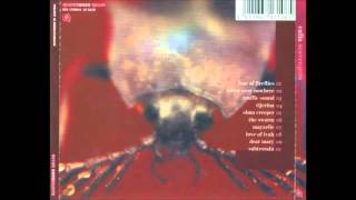 calla - hover over nowhere