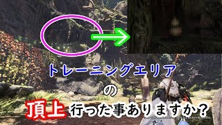 【MHWI】操虫棍の跳躍でトレーニングエリアの頂上行ってみた　The top of the  Training area