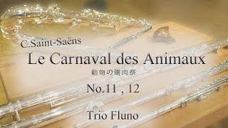 Download lagu C.サン=サーンス / 動物の謝肉祭より 11.ピアニスト・12.化石│ Le Carnival des Animaux mp3