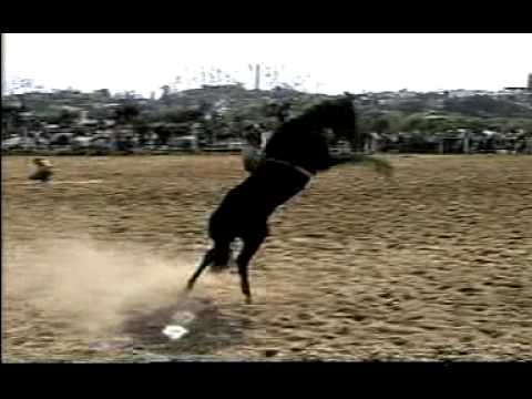 Melhores Ginetiadas no Brazil ,Rio Grande do Sul.