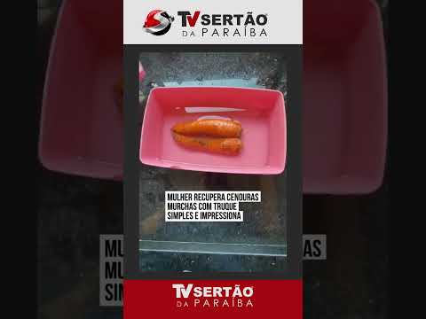 Dica de milhões: moradora de Campinas ensina truque simples para recuperar cenoura murcha