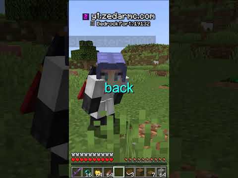 SHOCKING: Exposing the Most TOXIC Player on my Minecraft Server!