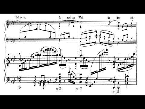 Widmung No.1 (Schumann/Liszt) - Sheet Music