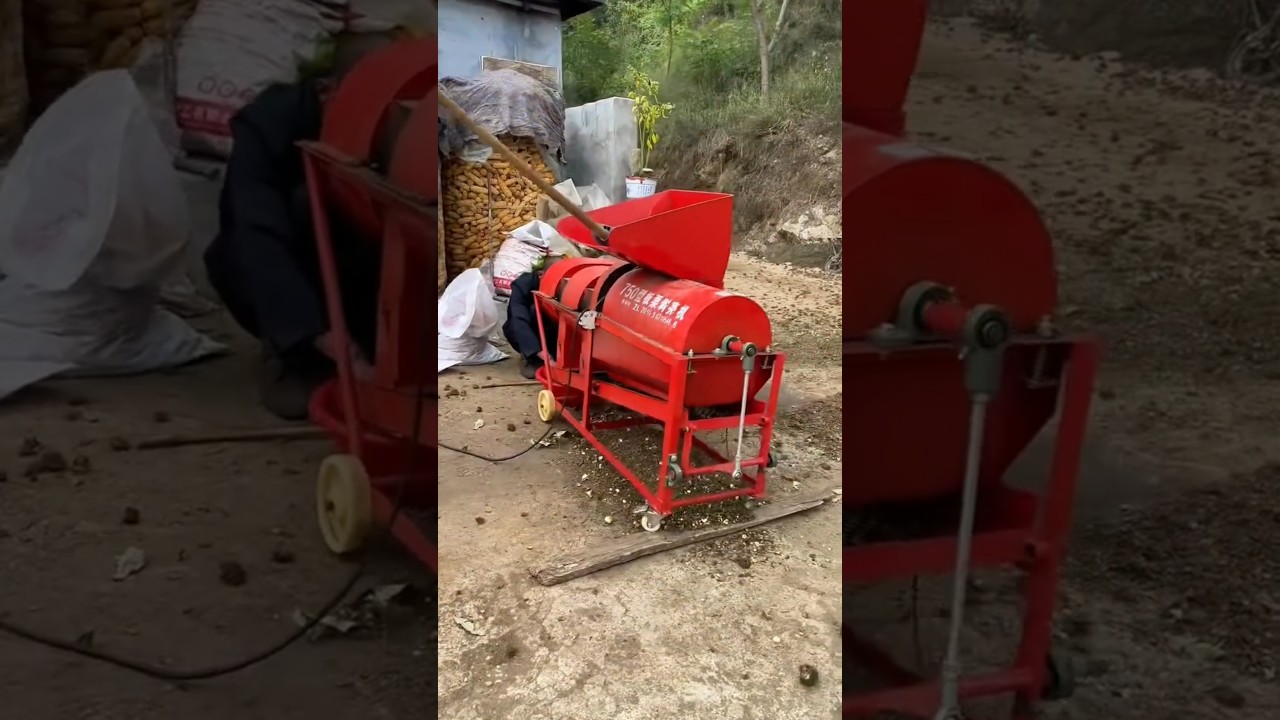New chestnut peeling machine #chestnut peeling artifact #new agricultureMachinery part 434
