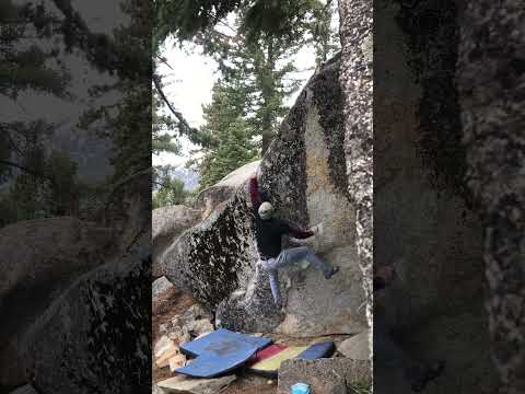 Violet Evergarden SDS (V8/9) FA, Marion mtn. CA
