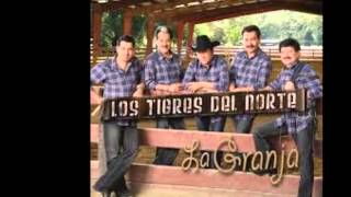 LA LUZ DE TUS OJOS TIGRES DEL NORTE