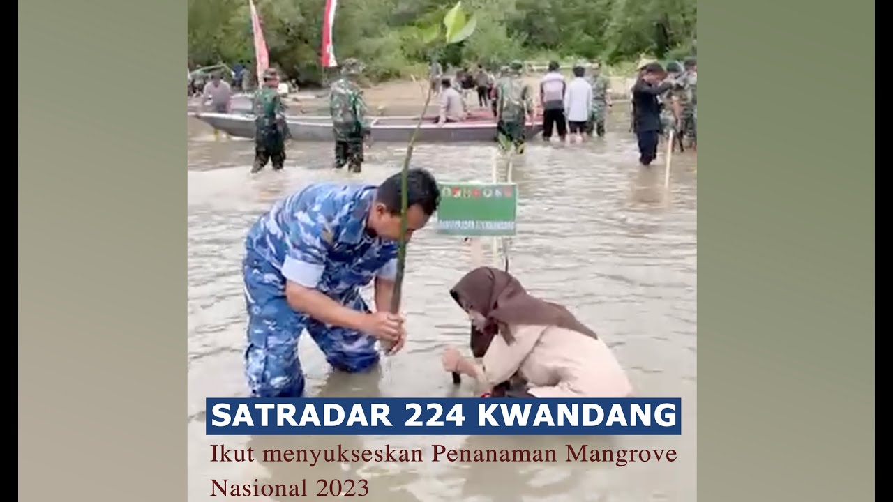 Satuan Radar 224 Kwandang Ikut Sukseskan Penanaman Mangrove Nasional 2023