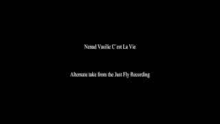 Nenad Vasilic-C´est La Vie