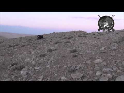 تدمير دبابة واشتباكات عنيفة يخوضها مقاتلو القيادة العسكرية الموحدة في القلمون في منطقتي السحل وريما في ريف دمشق