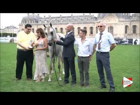 1st Place N.8 MOZN AL BIDAYER - Chantilly 2015 AWC - Yearling Fillies Championship (Class 11)