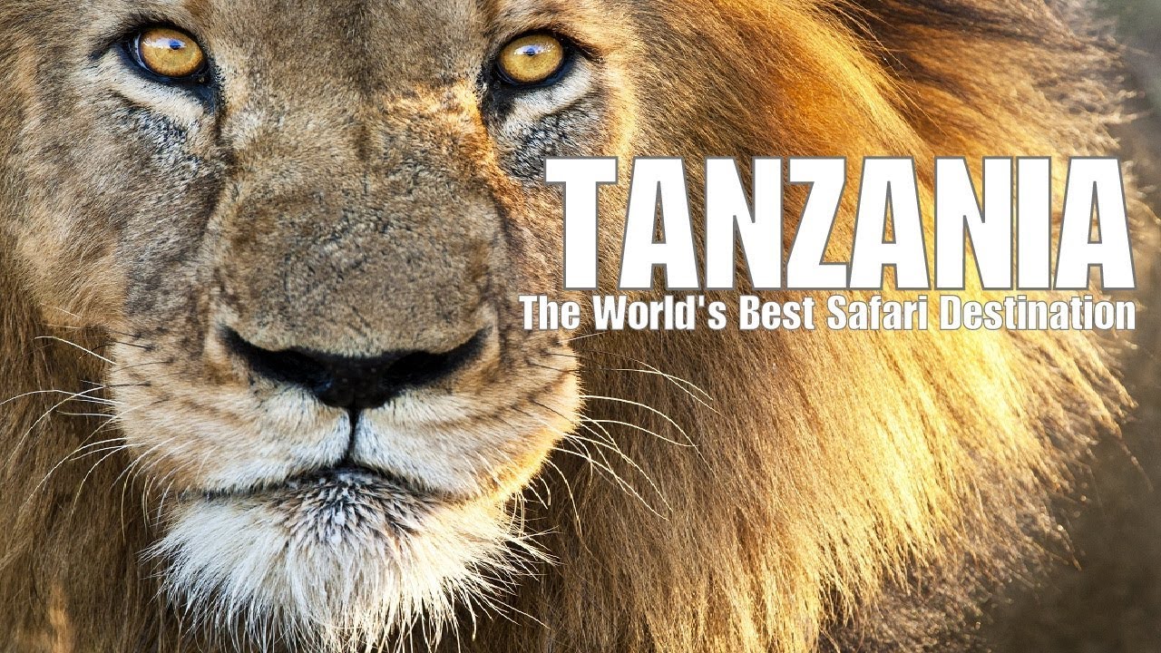 Tanzania - The World's Best Wildlife Safaris - Ultimate Kilimanjaro