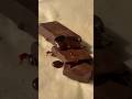 Making Chocolate From Scratch IT WORKED Homemade Chocolate Howto