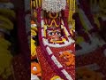 Veer Bade Hanuman Ji Prayagraj Shorts Hanuman Ji