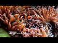 Dolby Atoms Vision Experience 4k Resolution Video 4k HD