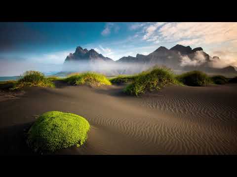 Butch, BNZO - Reshef (BNZO Remix)