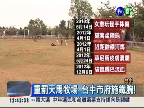 爆違規營業 天馬牧場明年搬家