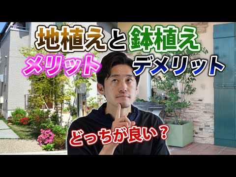 園芸 無事に木を植えることができました