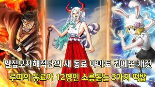 밀짚모자 해적단의 새 동료 야마토 킨에몬 캐럿 그리고 루피의 동료가 12명인 소름돋는 3가지 떡밥